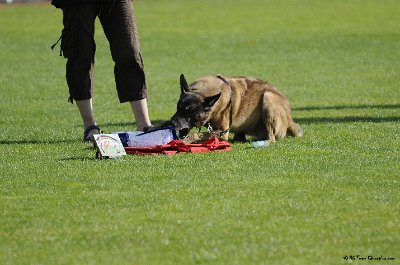 Remise des Prix 131.JPG - CHIENPLUS.COM